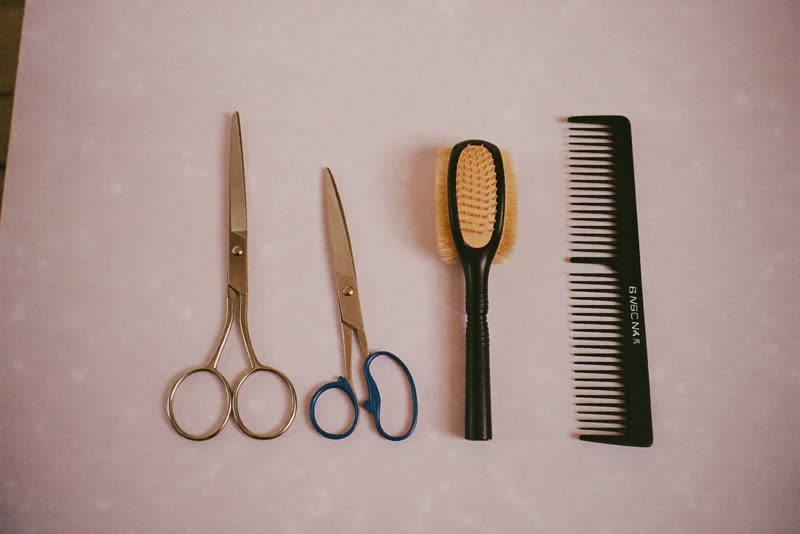 Grooming scissors, brushes, a comb and clippers laid out